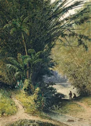 En bambuslund i Trinidad
