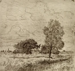 Sommervind, 1904-06 (tørpunkt)