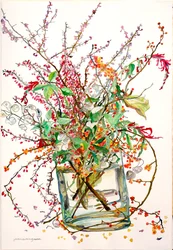 Bittersød, berberis, ærlighed, ananassalvie