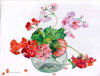 Geraniums at Ease in Glass Bowl (akvarel og blæk på papir)