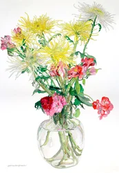 Edderkoppe-mums