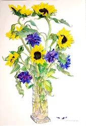 Solsikker Asters