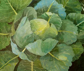 Kål (blå), 2014 (akryl på lærred)