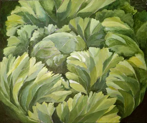 Cabbage, 2013 (akryl på lærred)