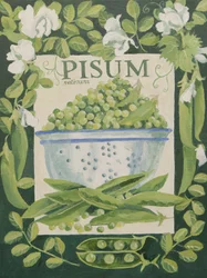 Pisum, ærter (akryl)