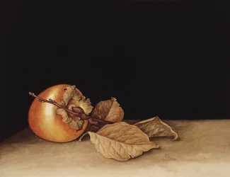 Persimmon, 2004 (wc på papir)