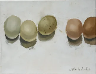 Brittanys æg