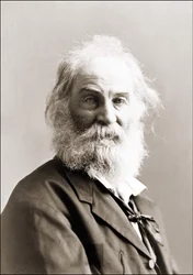 Portræt af Walt Whitman (1819 - 1892) af Gurney mellem 1880 og 1890.