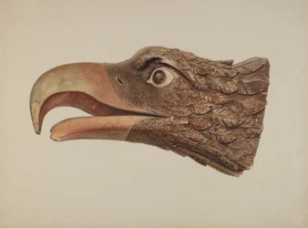 Ørn