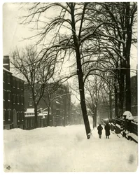 Mt Vernon Street, Boston, ca. 1902-10 (foto af gelatinesølv)