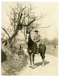 Roland Young, ca. 1905-27 (foto af gelatinesølv)