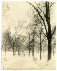 The Common, Boston, USA, ca. 1902-10 (foto af gelatinesølv)