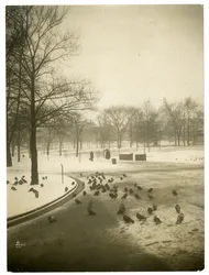 Usædvanligt koldt i Common, Boston, USA, ca. 1902-10 (gelatine sølv foto)