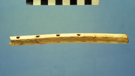 Fløjte, Davids by, ca. 799-600 f.Kr. (ben)