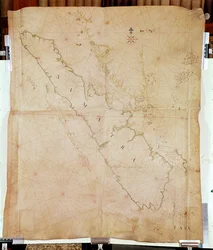 Ms 1288 Chart of Sumatra, 1653 (pen, blæk og vask på papir)