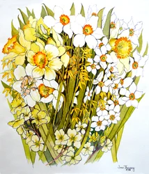 Påskeliljer, Narcissus, Forsythia og Primroses, 2000