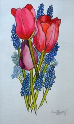 Tulipaner, muscari og forglemmigej, 2002,