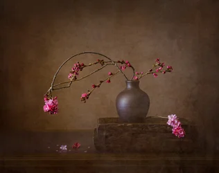 Stilleben med kirsebærblomster