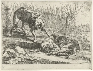 To hunde Hunde (serietitel)