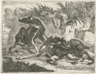 To hunde Hunde (serietitel)
