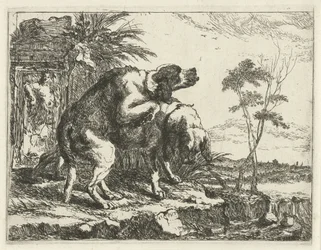 To parrende hunde Hunde (serietitel)