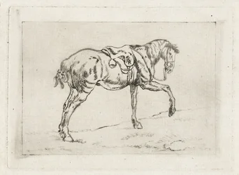 Sadlet hest