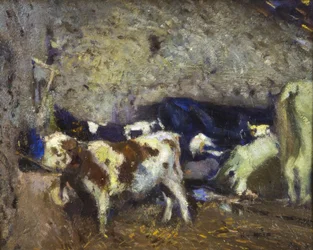 Køer