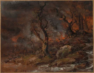 Skovbrand