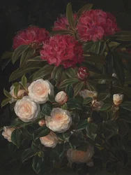 Kameliaer og rododendroner af Johan Laurentz Jensen