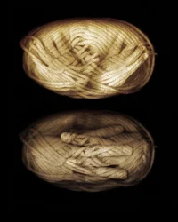 Garnhænder, 2013 (fotomanipulation)