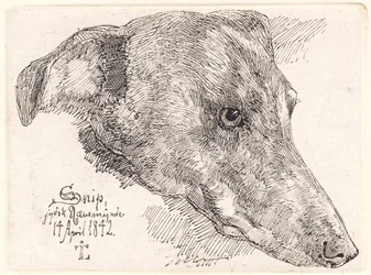 Danish: Hundehoved, Snip