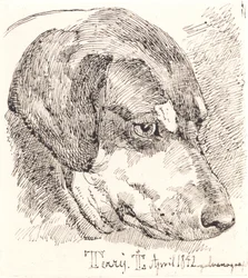 Danish: Hundehoved, Terry