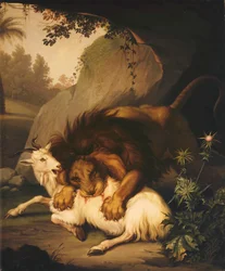 En løve angriber en ged, 1785