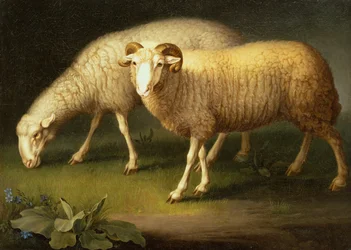 En vædder og får (olie på lærred)