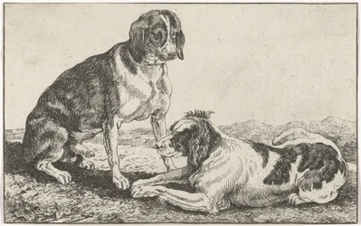 To hunde