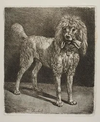 Pudlen Schwalerl