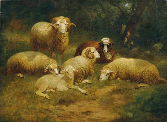 får