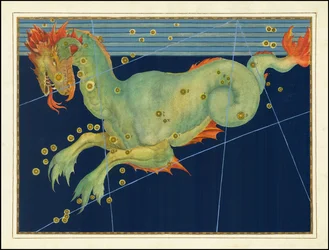 Johann Bayer, Cetus
