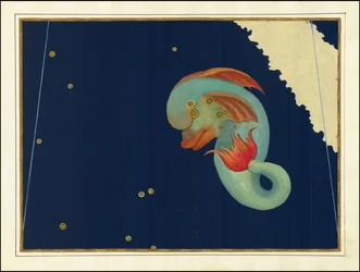 Johann Bayer, Delphinus