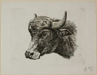Buffalo Head Facing Venstre, fra Die Zweite Thier Folge