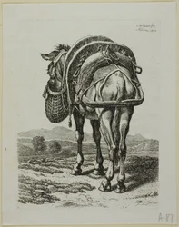 Feeding Mule - Rear, fra Die Zweite Thier Folge