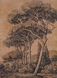 J C Reinhart Paraply-fyr 1791