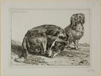 Two Dogs Resting, fra Die Zweite Thierfolge