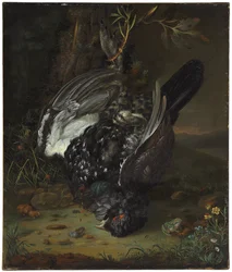En urfugl i et skovlandskab, 1747