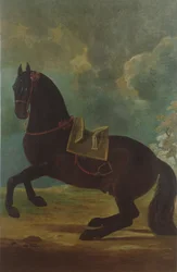 The Bay Stallion med spansk sadel