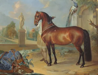 Den brune hest Sincero