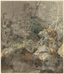 Vandfald i en bjergskov