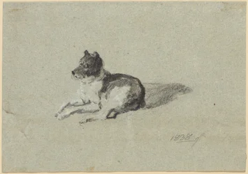 To hundestudier