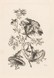 Trekantede blomster Fleures Baroque (serietitel)