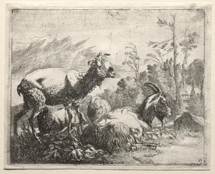 Geder, 1665.